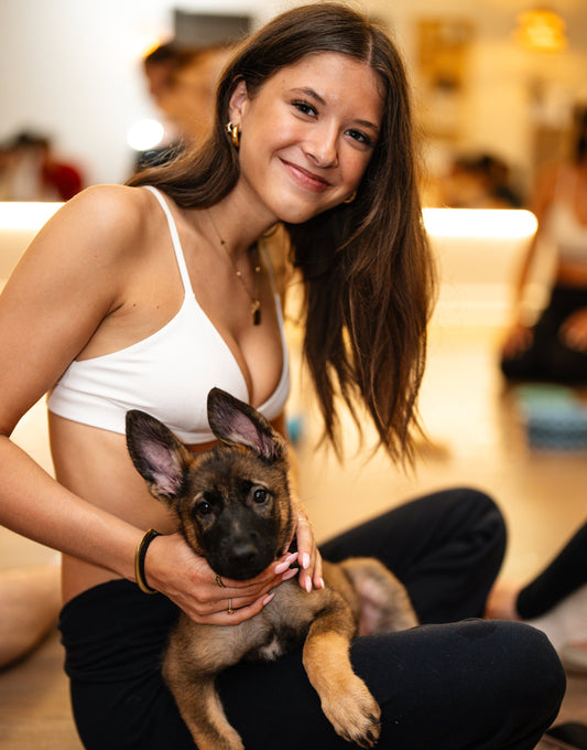 Participantes et chiots pendant une séance de puppy yoga sur la Rive-Nord de Montréal