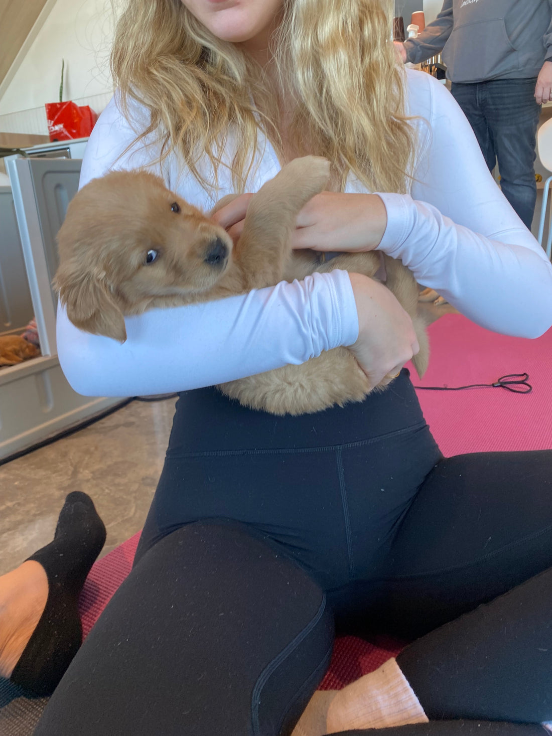 Qu’est-ce que le Puppy Yoga ?