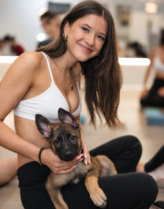 Puppy yoga Rive-Nord de Montréal — studio d'Euphorie Chiot à Sainte-Thérèse