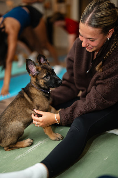 Puppy in a participant's arms during a puppy yoga session in Sainte-Thérèse