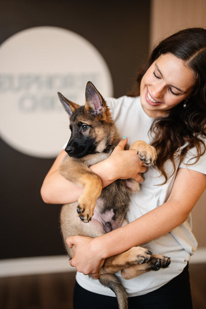 Participante et chiot pendant une séance de puppy yoga chez Euphorie Chiot