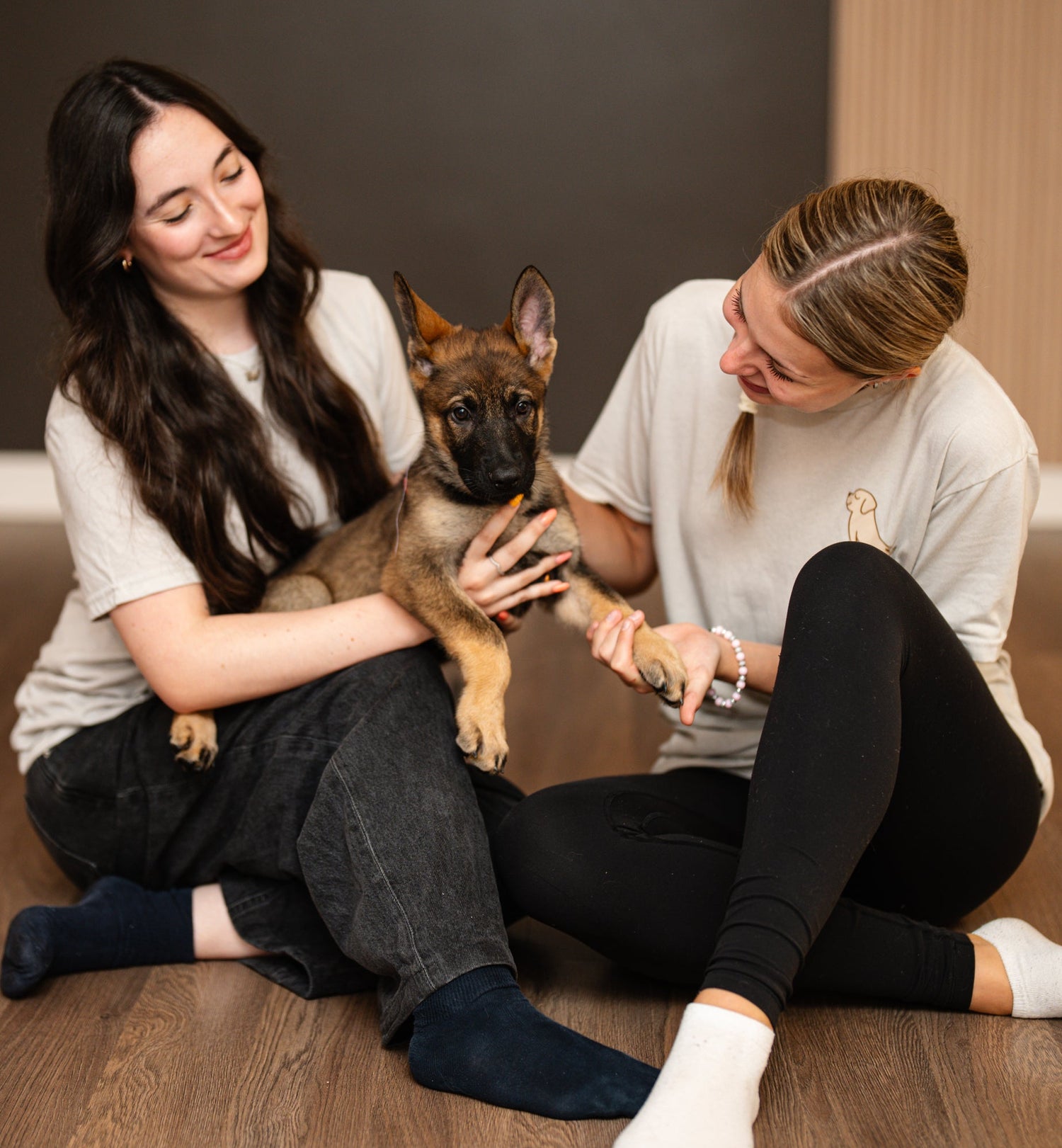 Supervised puppies at the Euphorie Chiot studio during a puppy yoga session