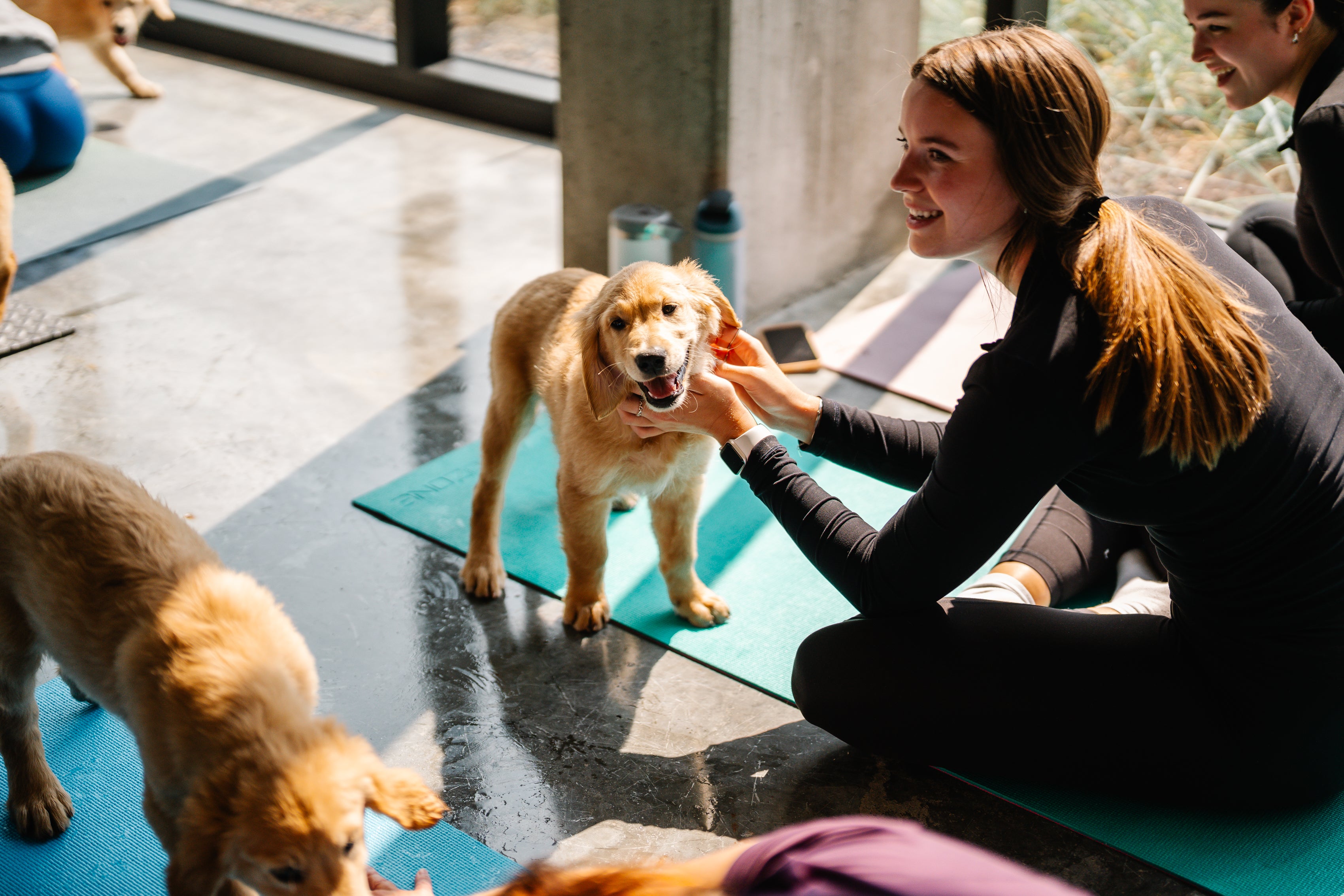 Puppy yoga avec Golden Retriever