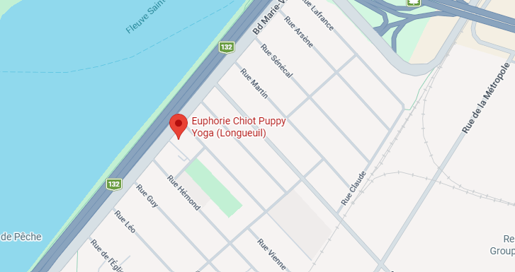 Carte de l'emplacement du studio Euphorie Chiot Puppy Yoga à Longueuil, sur la Rive-Sud de Montréal