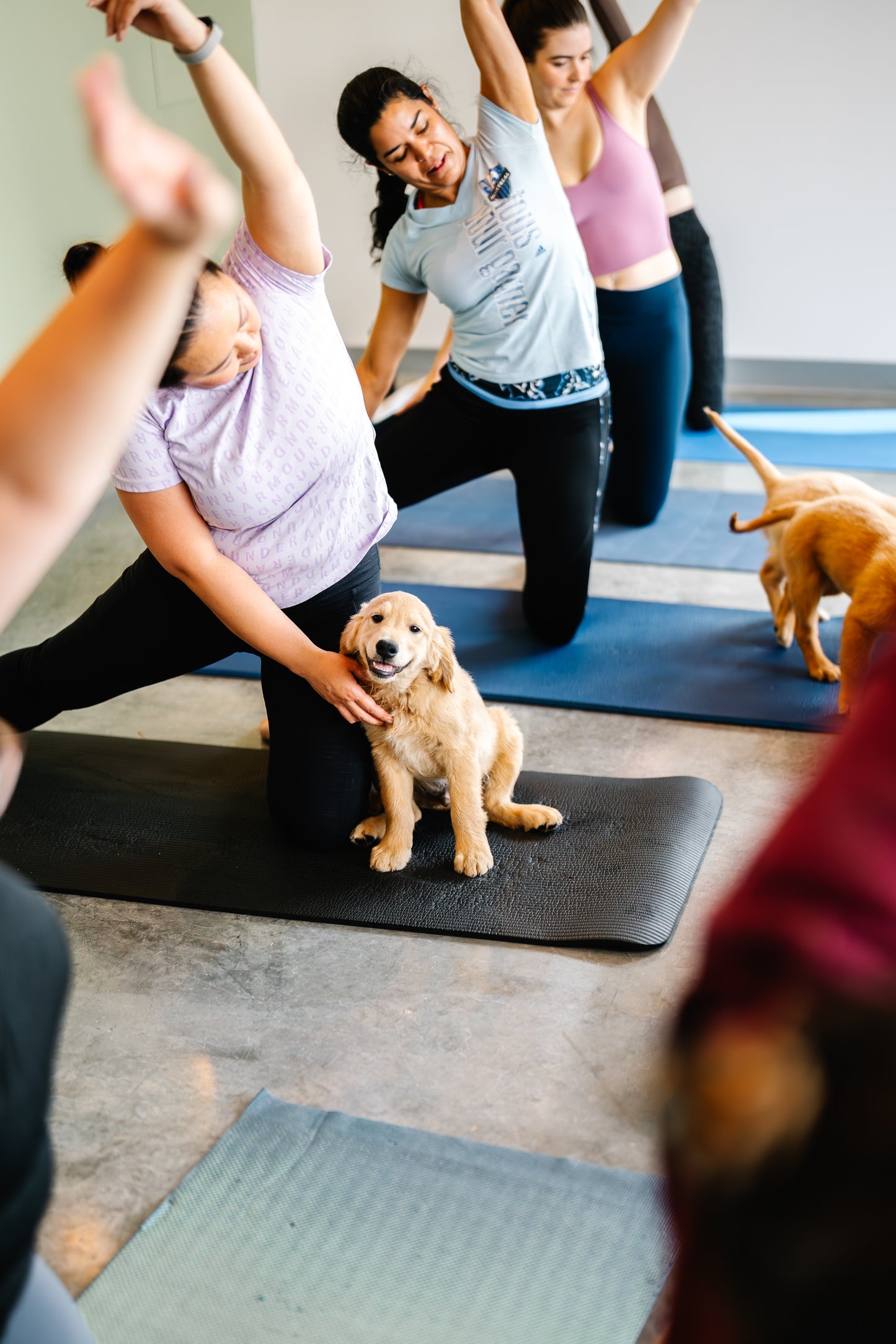 Puppy Yoga Rive-Nord Montréal