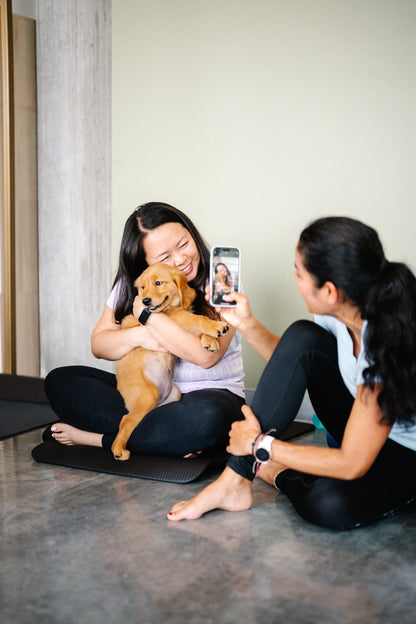 Participants prenant une photo d'un chiot.